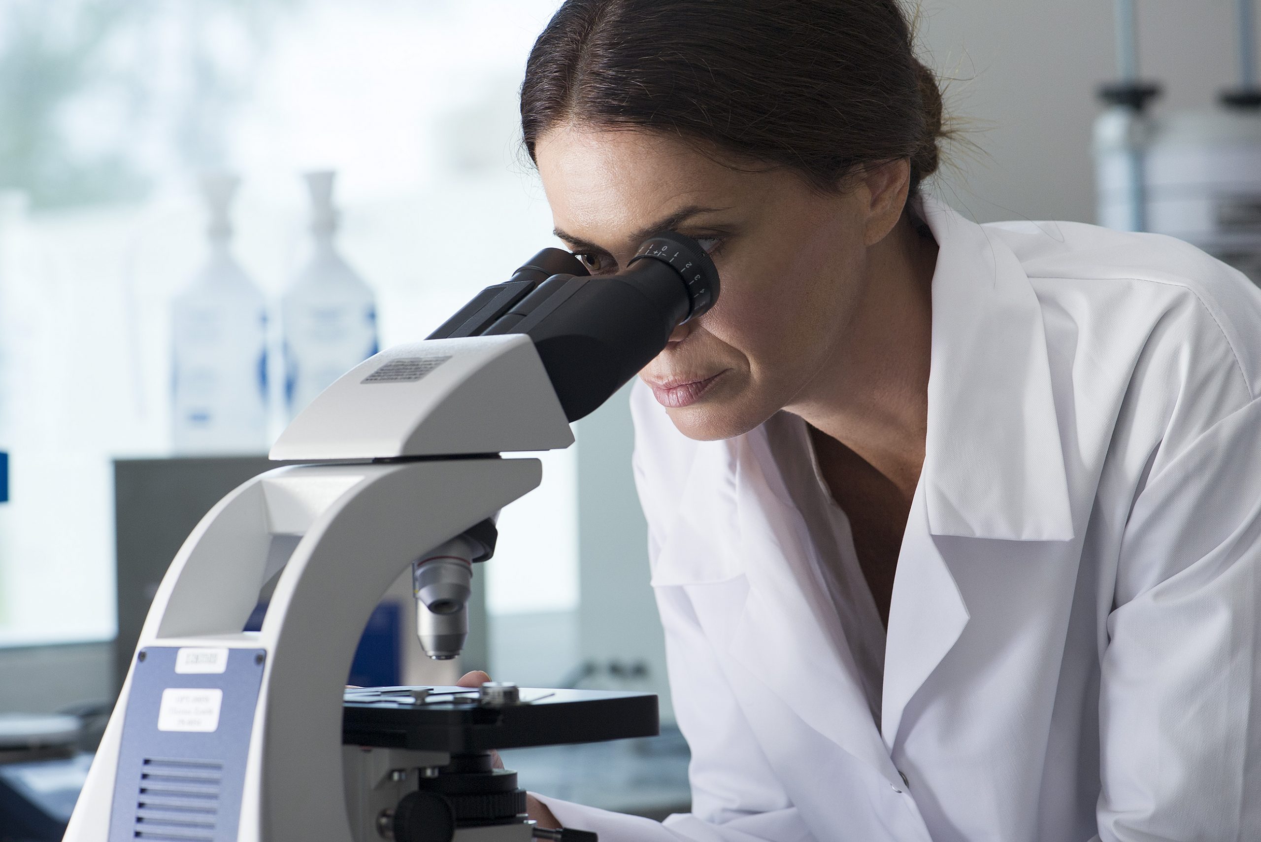 Laboratory diagnosis of Blackleg.