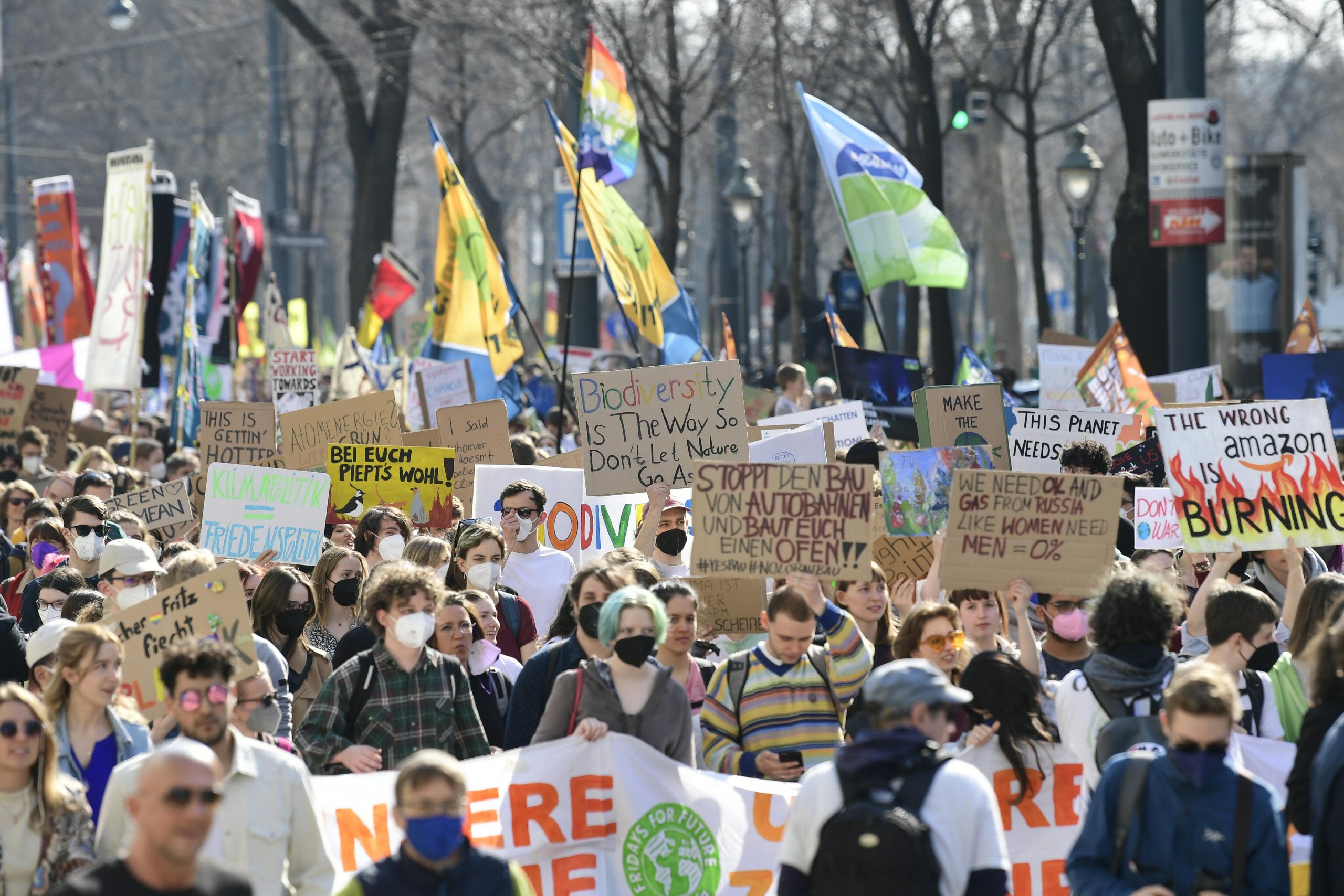 Image accompanying Streikende der Fridays for Future-Demonstrationen lassen ihren Müll auf den Straßen liegen.