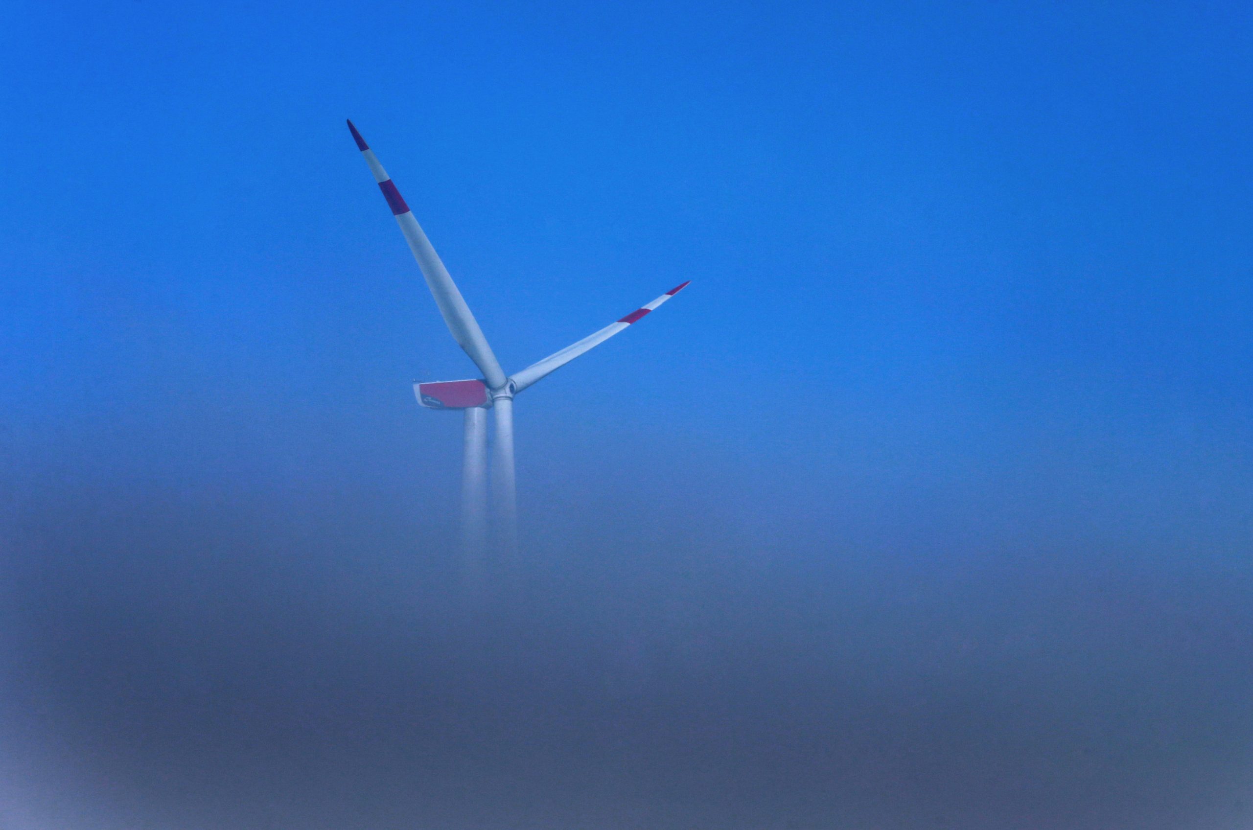 Image accompanying Fotos aus Spanien zeigen Waldrodung für Windräder