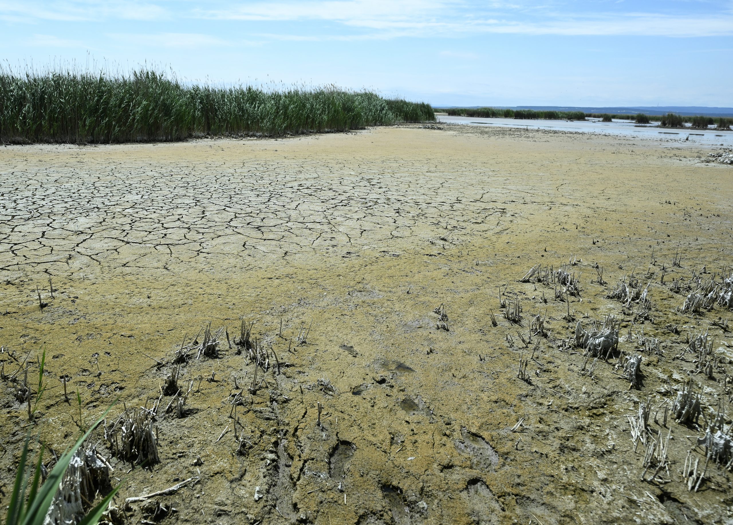 Image accompanying Dass der Neusiedler See bereits früher ausgetrocknet ist, ist ein Beleg, dass der Klimawandel nicht so schlimm ist.