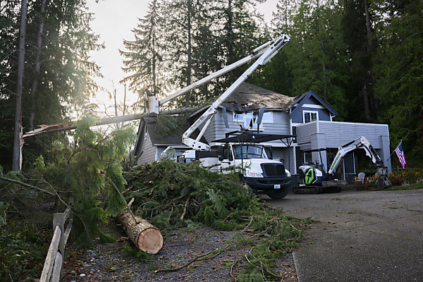 Auf dem Bild sieht man sieht man ein Haus in den USA, auf das ein Baum fiel.