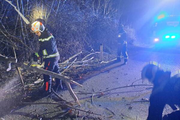 Auf dem Foto sieht man 3 Feuerwehrleute. Sie räumen vom Sturm abgebrochene Bäume und Äste weg.