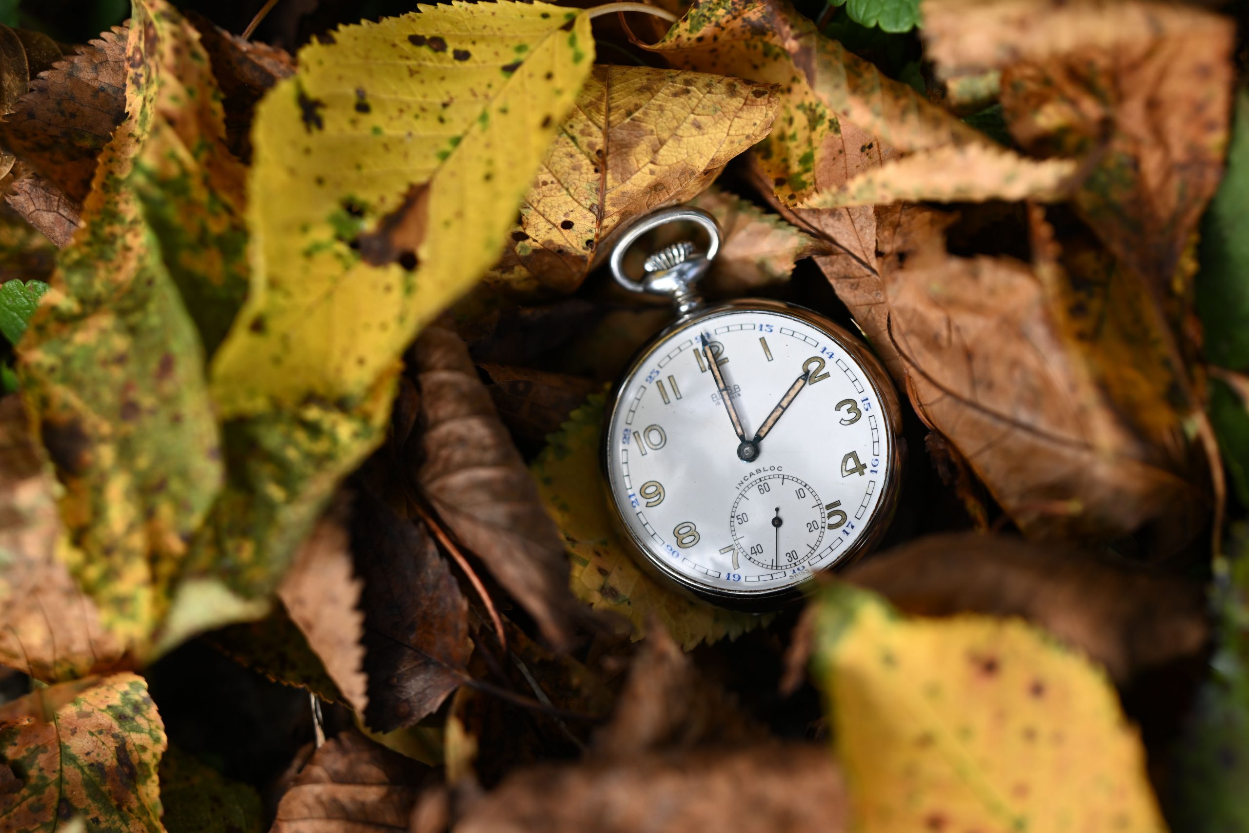 Eine Taschenuhr liegt inmitten von herbstlich gefärbten Blättern